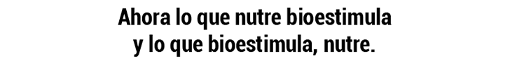 Nutribioestimulacion_Banner_728x90.gif (30879 bytes)