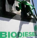 biodiesel-surtidor-cut.JPG (6107 bytes)