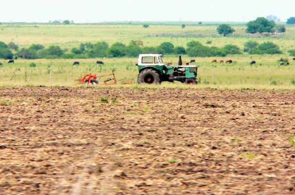 campo-uno-entrerios.jpg (36388 bytes)