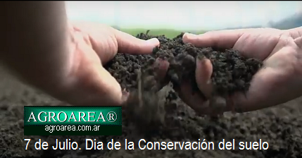 dia-conservacion-del-suelo-agroarea.PNG (180686 bytes)