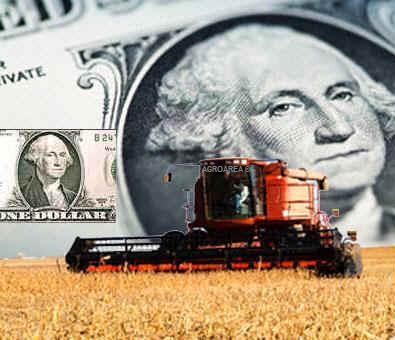 dolar-agro-dolar-agroarea.JPG (26575 bytes)