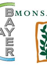 fusion-bayer-mosanto.JPG (7620 bytes)