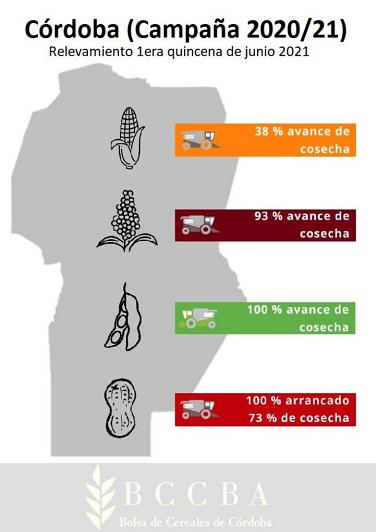 lavoz-cosecha-010721.JPG (24697 bytes)
