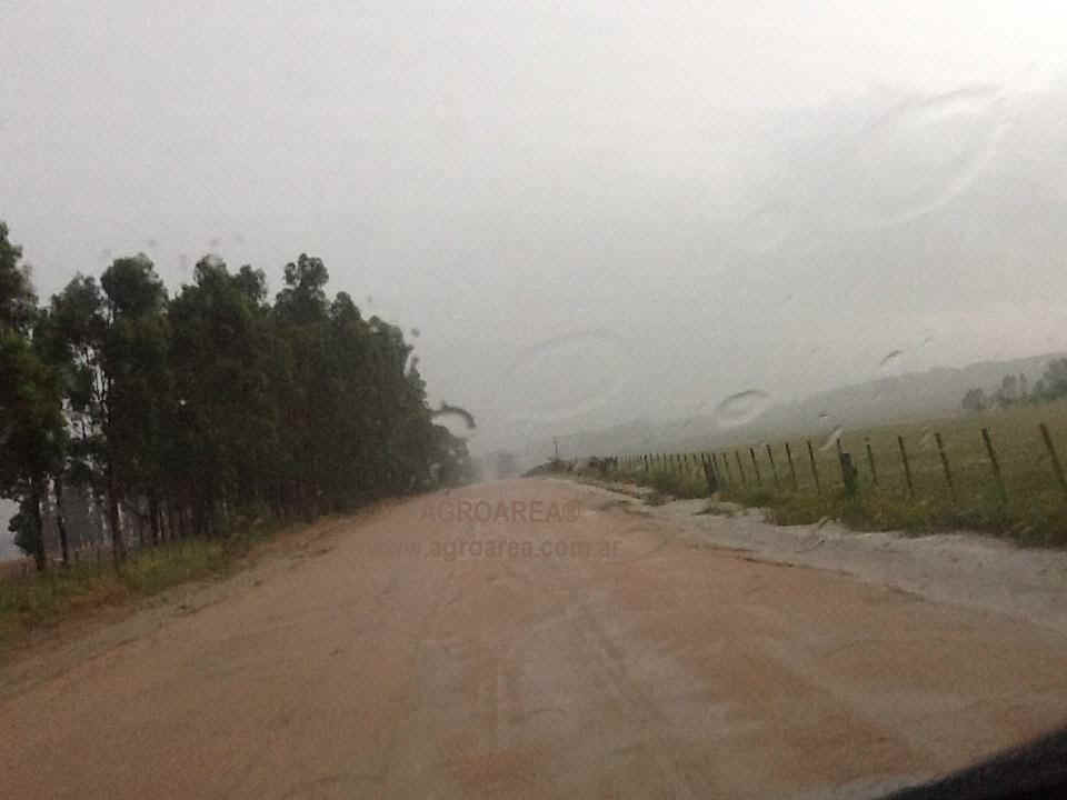 lluvias-campo-6-agroarea.jpg (60822 bytes)