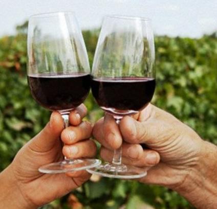 vino-brindis.JPG (25254 bytes)