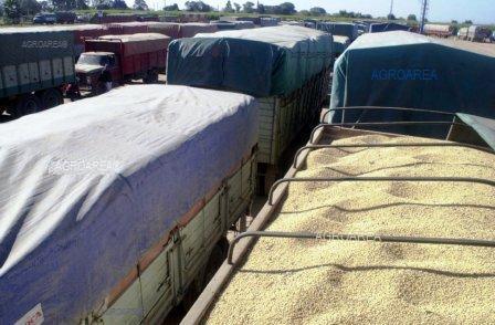 CAMIONES-CEREALES.jpg (18266 bytes)