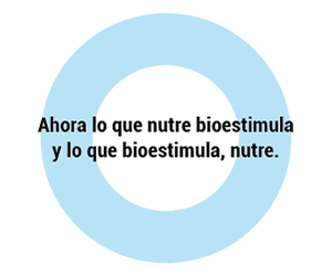Nutribioestimulacion_Banner_300x250.gif (45323 bytes)