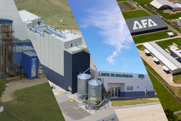 afa-imagen.jpg (202957 bytes)