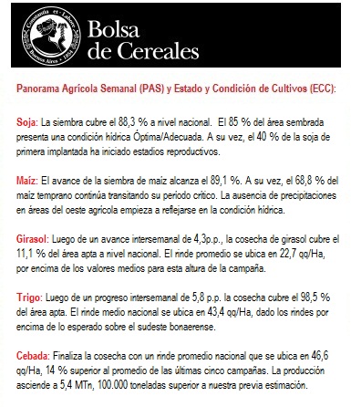 bcba-080126.jpg (96257 bytes)