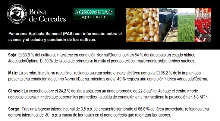 bcba-290126.jpg (133535 bytes)