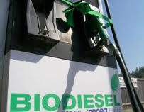 biodiesel-surtidor.jpg (5948 bytes)