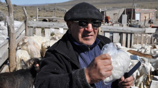 cachemira-rionegro-comar-2.jpg (70274 bytes)