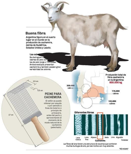 cachemira-rionegro-comar.jpg (50652 bytes)