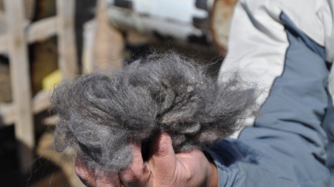 cachemira-vellon-rionegro-comar.jpg (52123 bytes)