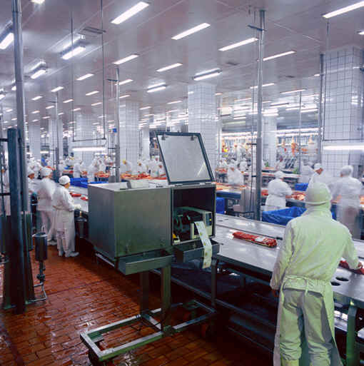 carne-picada-2.jpg (35197 bytes)