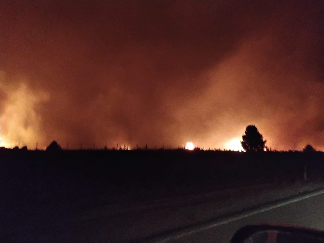 cholila-incendios.jpeg (63654 bytes)