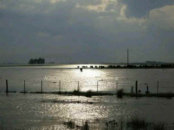 hacienda-inundacion-1.JPG (26674 bytes)