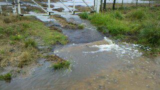 lluvias-campo-4.jpg (18302 bytes)