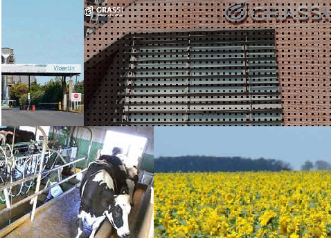 tapa-291225.jpg (102415 bytes)