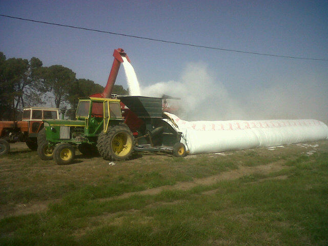 urea.jpg (57389 bytes)